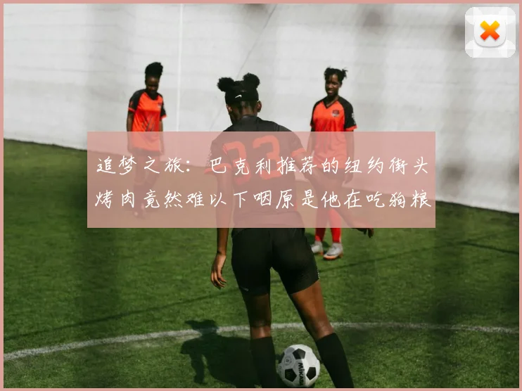 追梦之旅：巴克利推荐的纽约街头烤肉竟然难以下咽原是他在吃狗粮