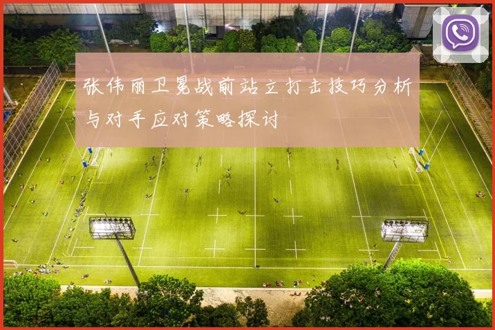 张伟丽卫冕战前站立打击技巧分析与对手应对策略探讨