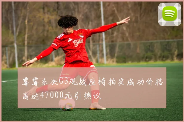 霉霉东决G3观战座椅拍卖成功价格高达47000元引热议